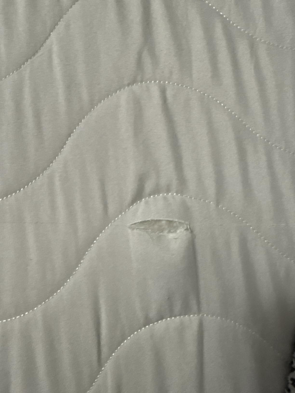 SCHNAUZER HOME Japanese Floor Mattress Futon Mattress Full 3.5