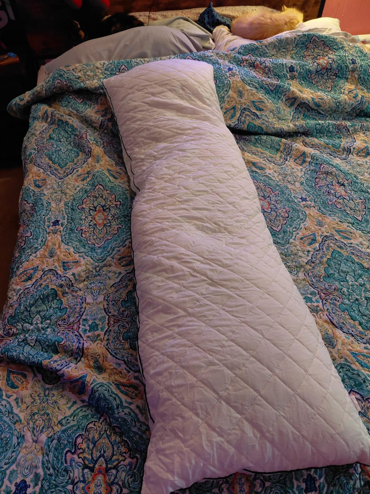 1 MIDDLE ONE Body Pillow, Memory Foam Body Pillows for Adults Sleeping, Long Pillow for Bed, Big Large Firm Full Body Pillow for Side Sleeper, 20x60 Inch (White) customer photo 2