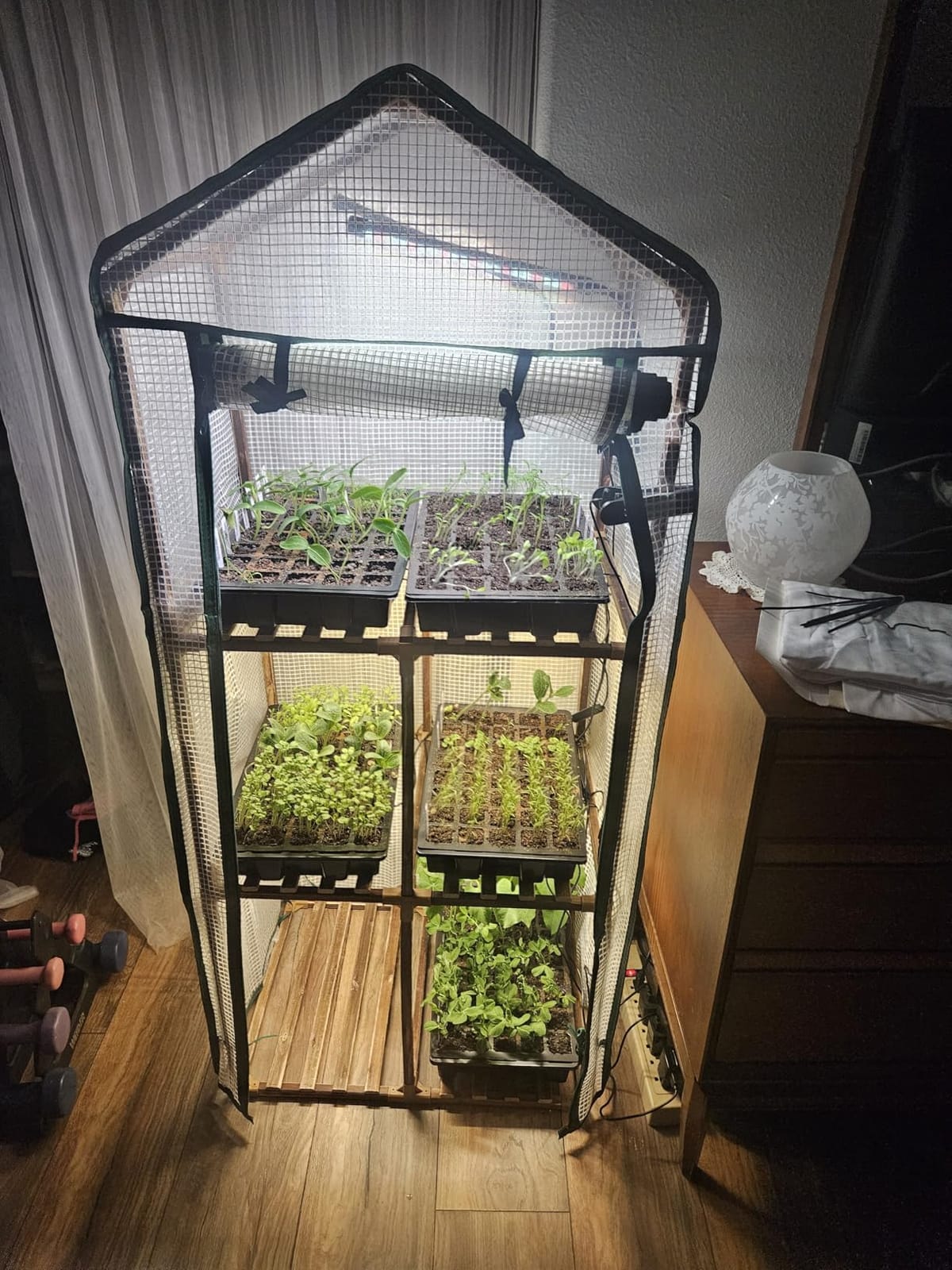 Bamworld Mini Greenhouse with Grow Light Plant Stand for Mutiple Pots Outdoor 3-Tier Portable Greenhouses with Durable PE Cover for Seedling Ideal Gardening Gifts for Women Men customer photo 2