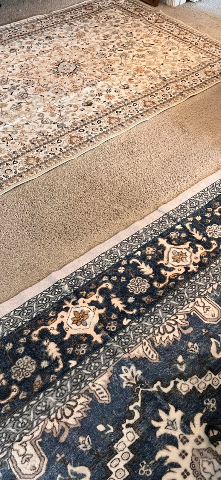 5x7 Area Rugs Living Room: Washable Vintage Rug for Bedroom Beige | Boho No Slip Stain Resistant Rug Soft Indoor Decor Floor Floral 5x7 Area Rugs for Dining Room, Nursery, Hallway, Home Office customer photo 1
