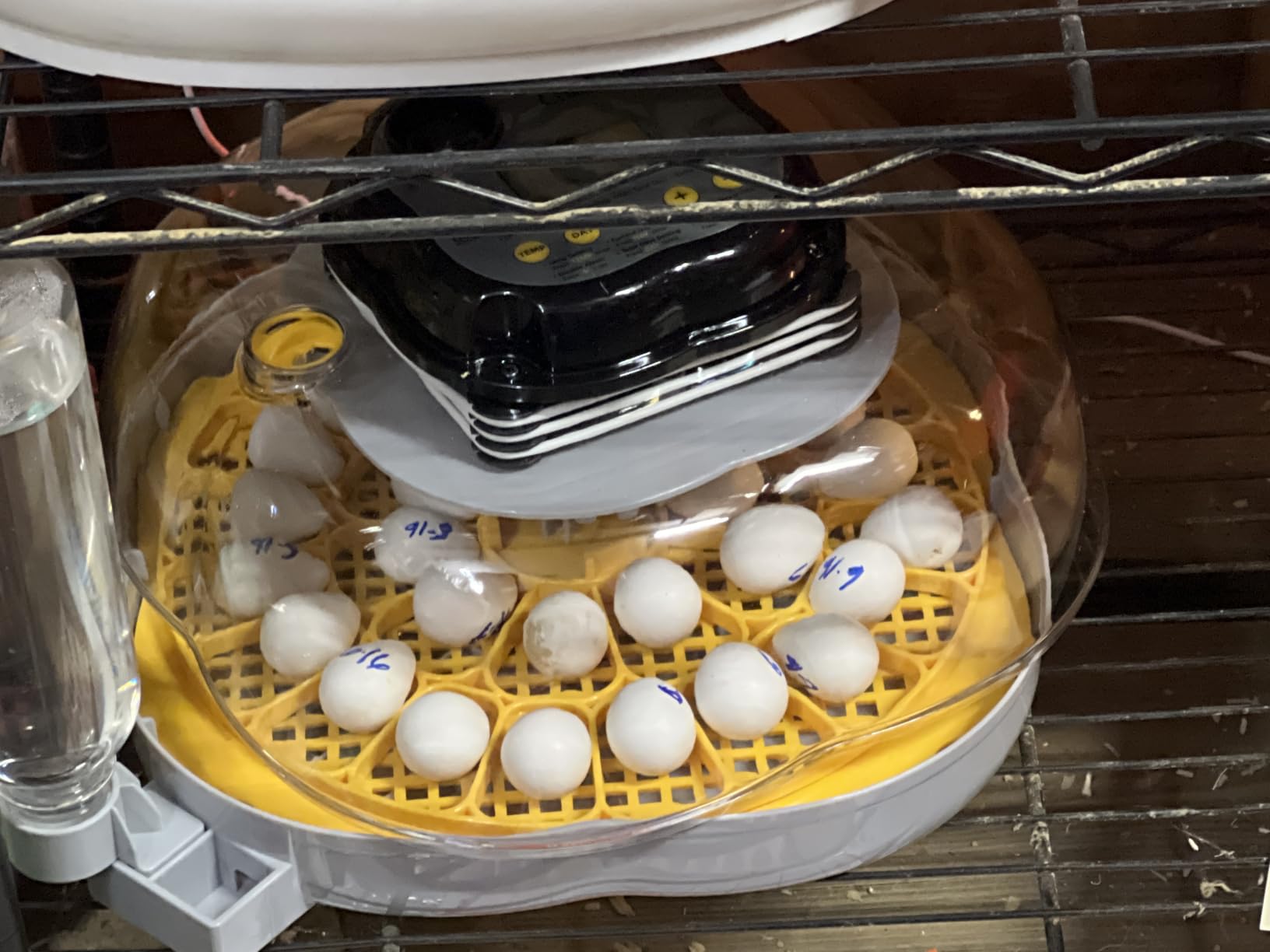 25 Egg Incubators for Hatching Eggs, Auto Turning, Temp & Humidity Control customer photo 2