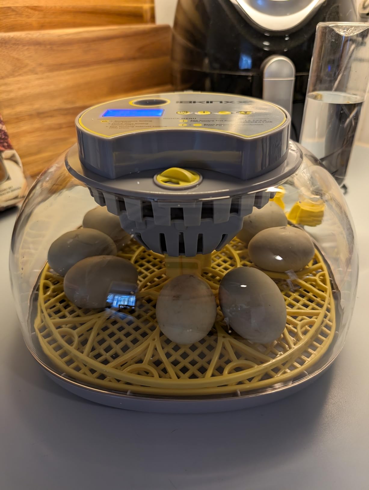 Incubator for Hatching Eggs - 12 Egg Capacity, 360° Viewing for Chicken customer photo 2