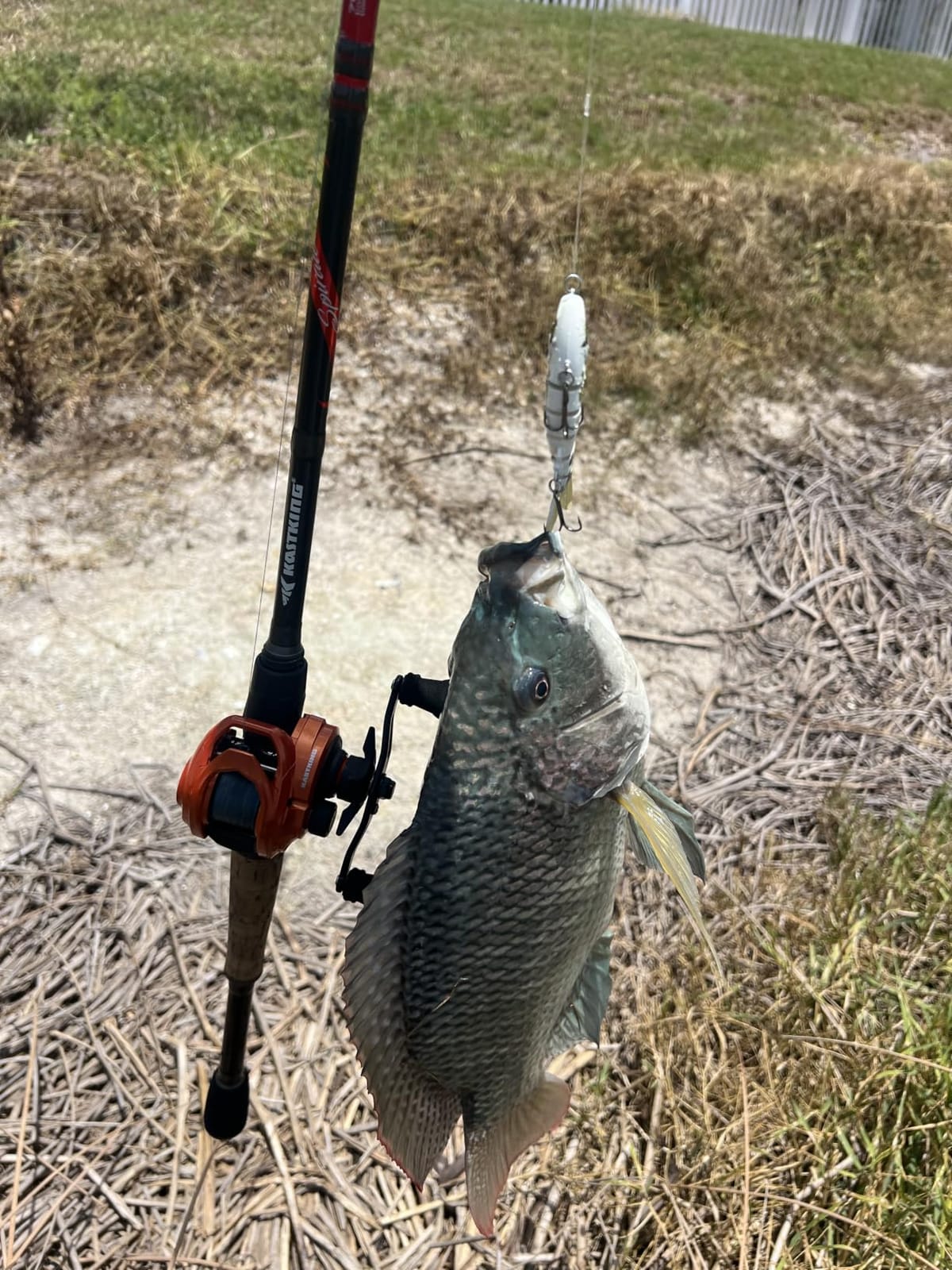 KastKing Lethal Blaze Baitcasting Fishing Reels with 7.3:1 Gear Ratio customer photo 2