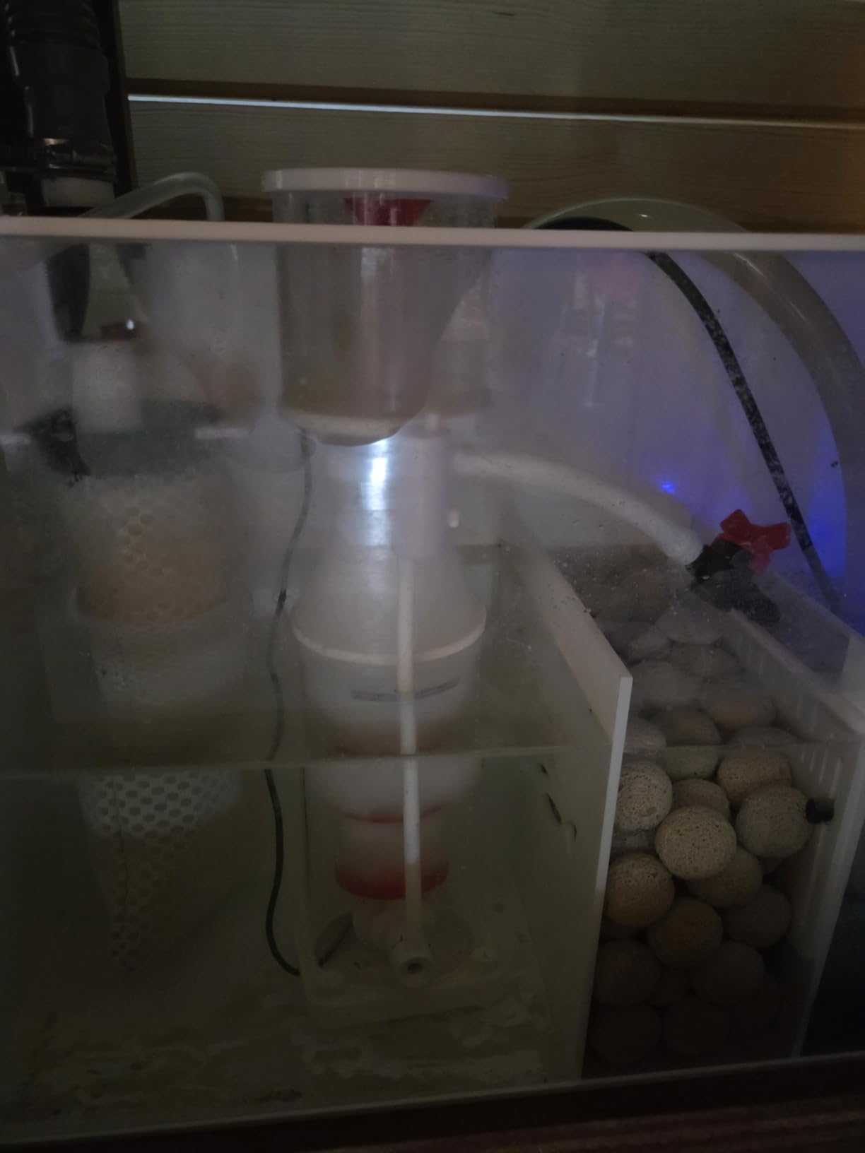 Protein Skimmer for 50-100 Gallon Saltwater Aquarium customer photo 2