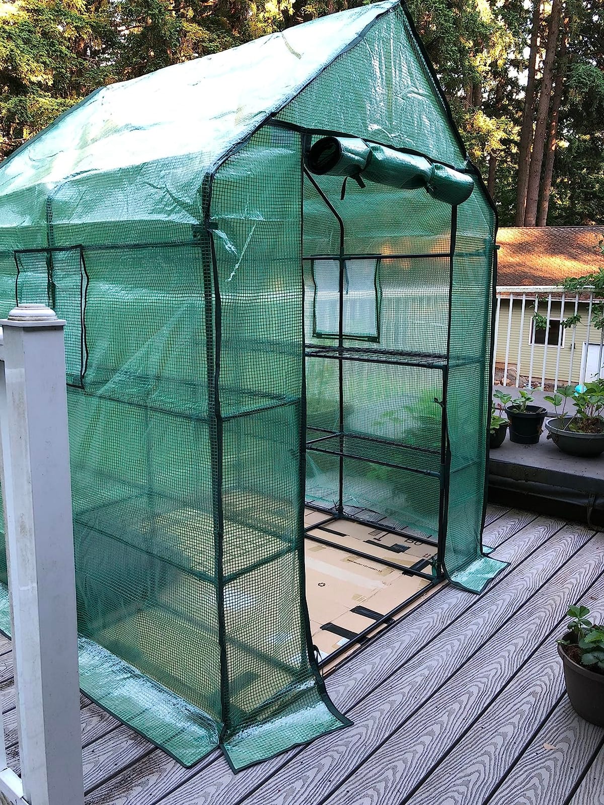 Ohuhu Plastic Greenhouse for Outdoors: Portable Walk in Plant Green House with Improved Transparent PVC Cover, 3 Tiers 12 Shelves Stands Small Greenhouses Backyard Green Houses for Outside Heavy Duty customer photo 2
