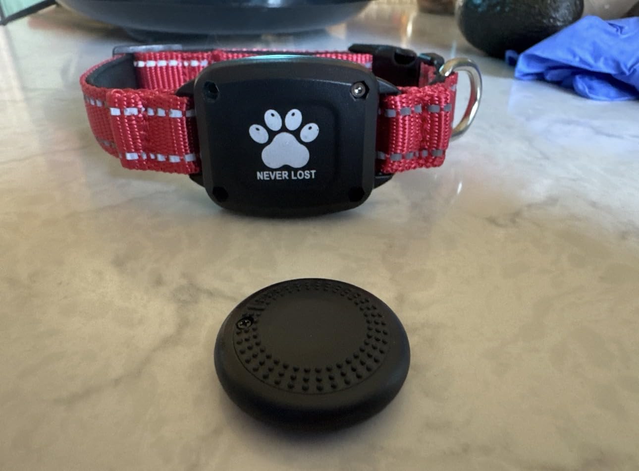 GPS Dog Collar with Tracker, Waterproof, No Monthly Fee, Blue, L customer photo 1