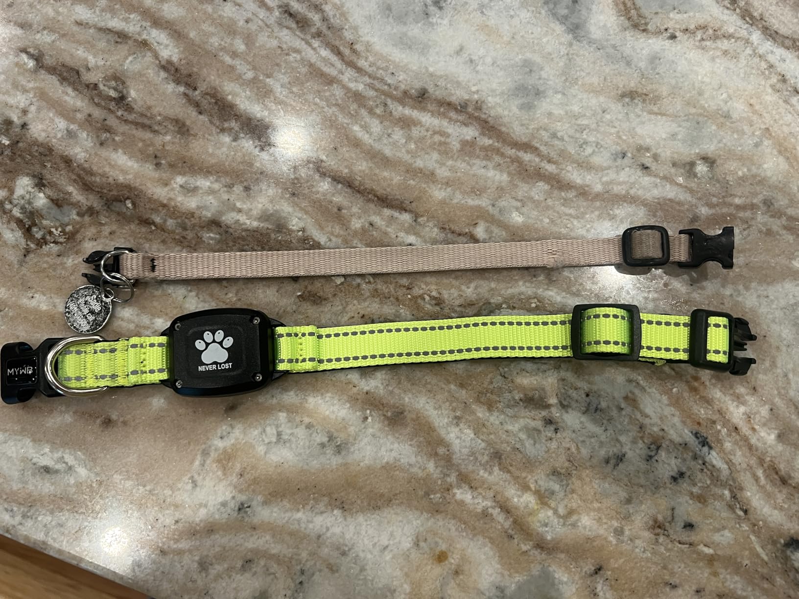 GPS Dog Collar with Tracker, Waterproof, No Monthly Fee, Blue, L customer photo 2