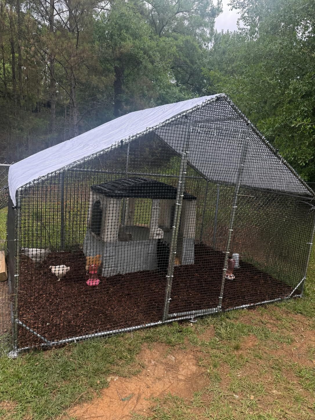 CAMMOO Walk in Chicken Coop, 19.7x9.8x6.6ft Chicken Run for Yard with Cover customer photo 2