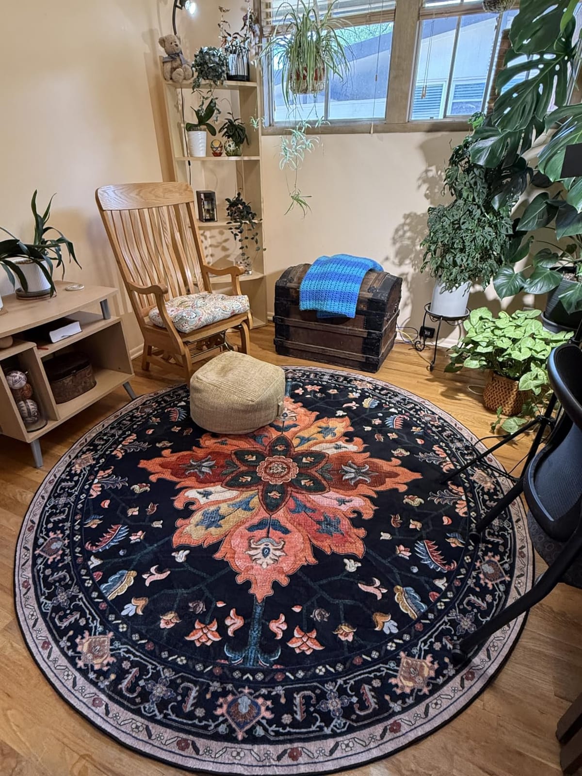 RELEANY Washable Area Rug, 5'x7', Black/Vintage/Beige | Non-Slip, Water Repellent, Pet Friendly, Easy to Clean, Vintage Floral Boho Decor for Living Room Bedroom Dining Room Office customer photo 1