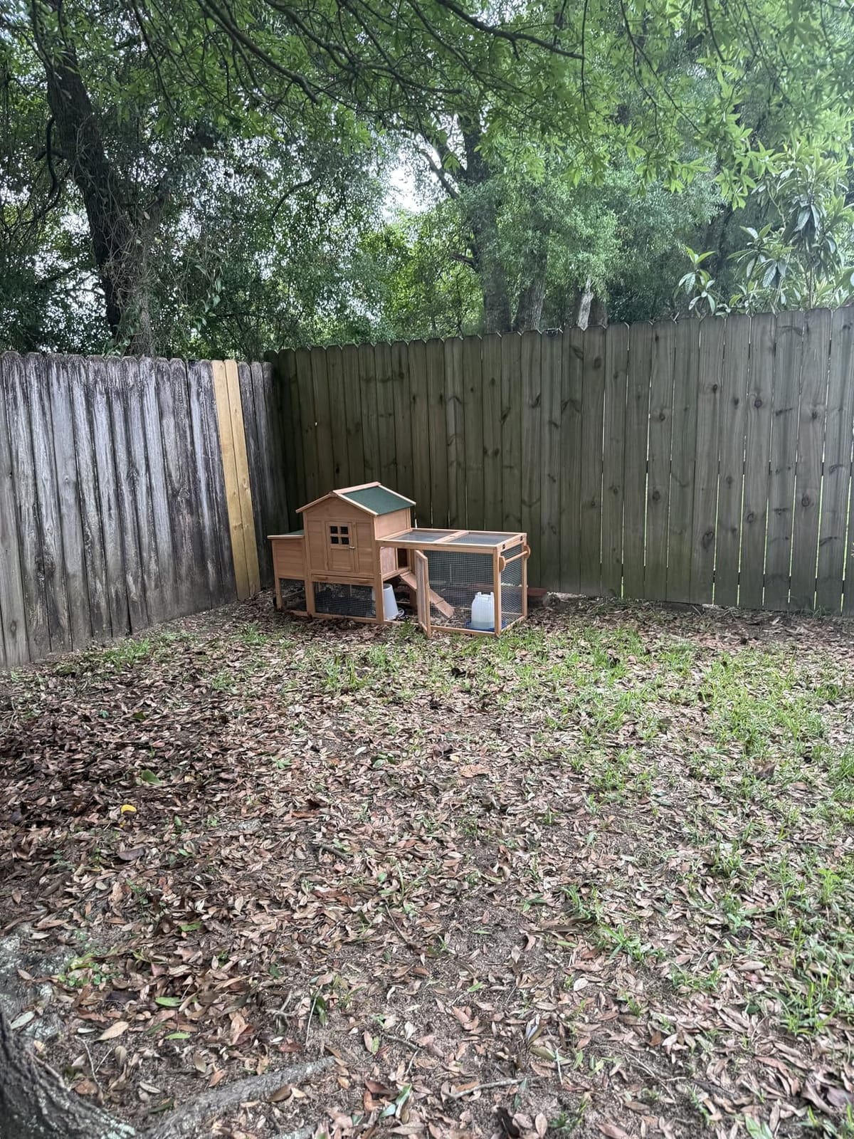 Chicken Coops for 1-2 Chickens with Wheels, Outdoor Wooden Hen House with Nesting Box, Large Rabbit Hutch, Outside Poultry House, Wire Fence Run Cages, Weatherproof for Backyard(Black) customer photo 2