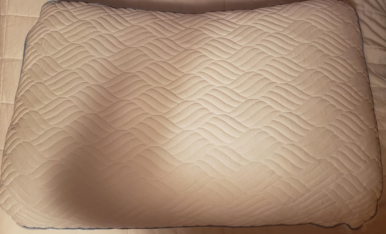 Premium Canadian Goose Down Pillow Queen Size Set of 2 Pack | 900+ Fill Power 100% Cotton Shell, Luxury Hotel Quality Bed Feather Pillow for Side Back Stomach Sleepers (White, 20