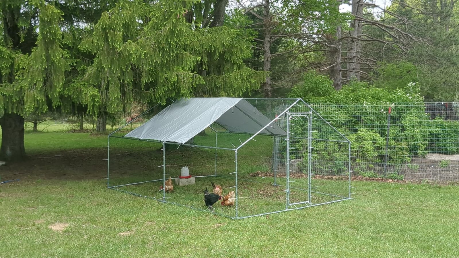 19.7x9.7 FT Extra Large Metal Chicken Coop, Walk-in Poultry Run customer photo 1