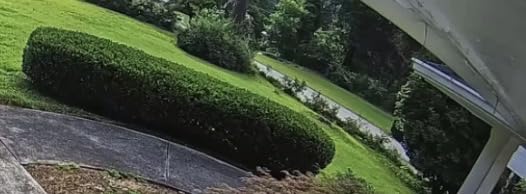 Sun Joe SPX100-GO Electric Pressure Washer, 13-Amp, 4 Nozzles, Foam Cannon customer photo 1
