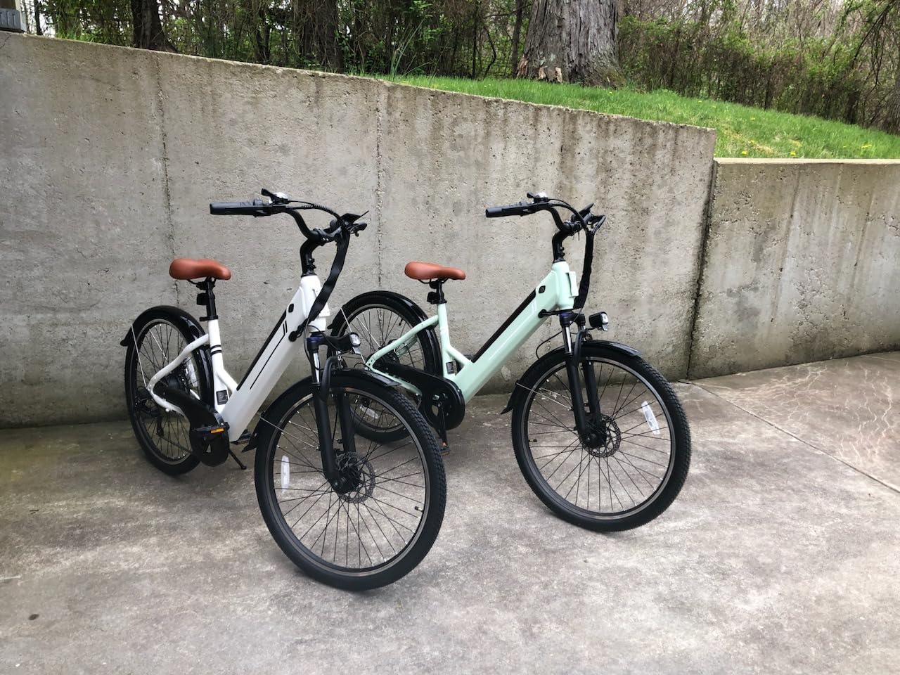 Jasion RetroVolt Max Electric Bike, Dual Battery, 150-Mile Range, Fat Tire customer photo 1