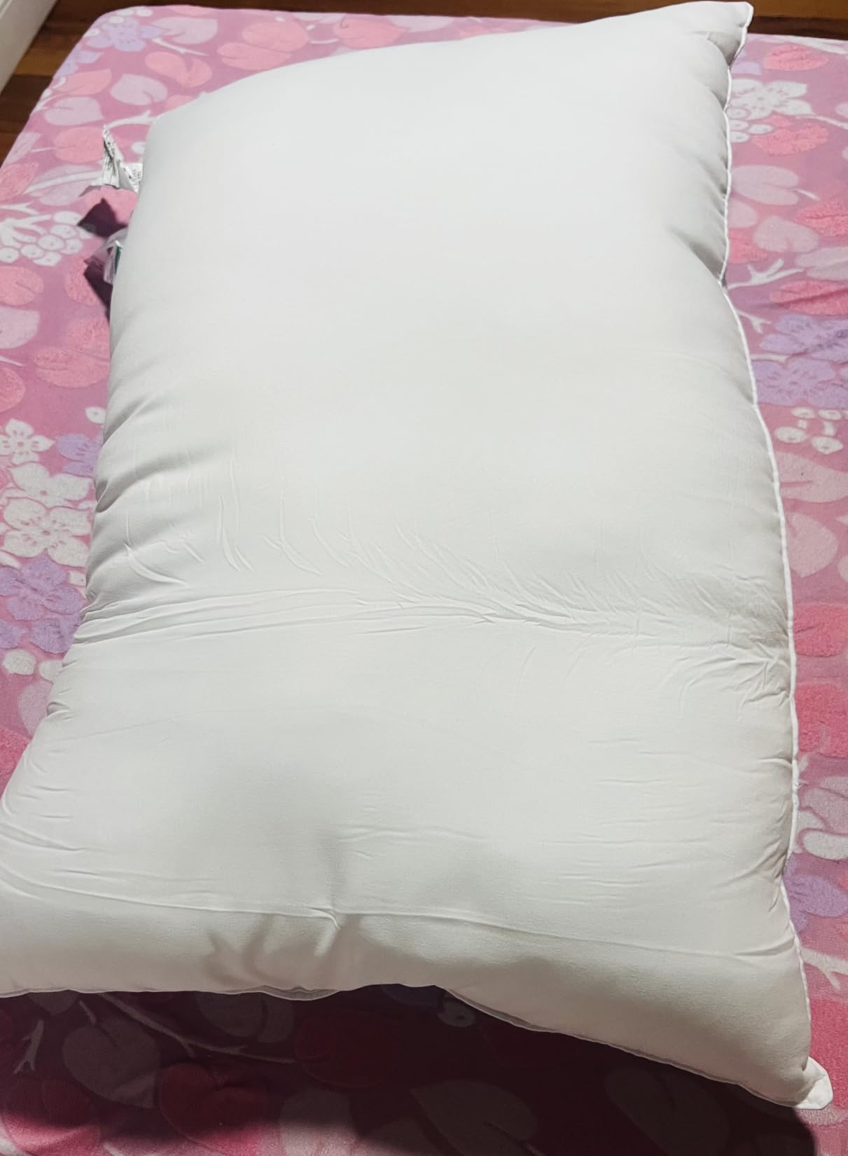 Canadian Goose Down Pillows Queen Size 80% Goose Down and 20% Goose Feathers, 1650+ Fill Power White Down Pillow with 800 Thread Count Cotton Shell, Ultra Comfort Bed Pillows (White 20