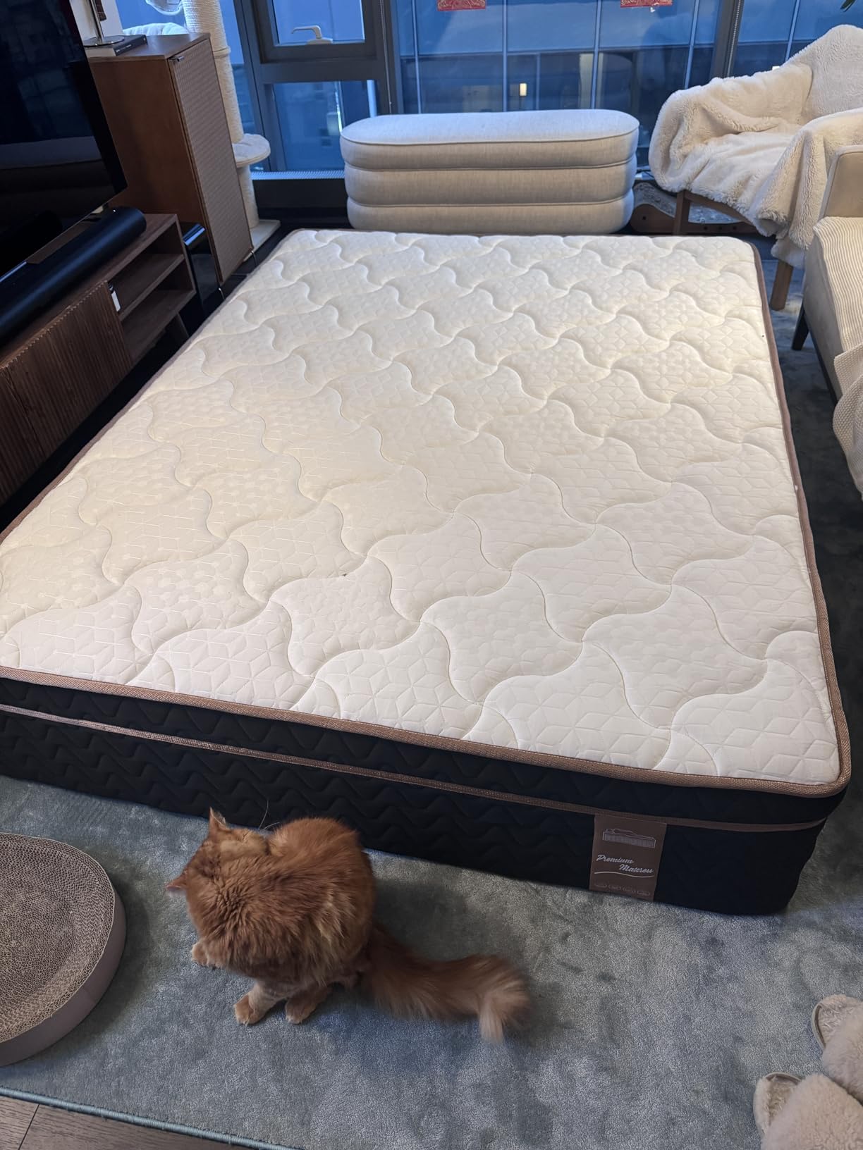 Firm King Mattress 14 Inch, Cooling Hybrid Bed in a Box, CertiPUR-US | Zones Individual Pocket Spring, Extra Hip/Shoulder/Lumbar Support, Fiberglass-Free, 365-Night Trial customer photo 1