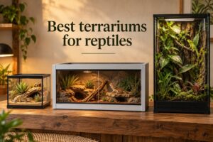 Best terrariums for reptiles