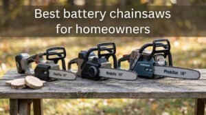 Best battery chainsaws for homeowners