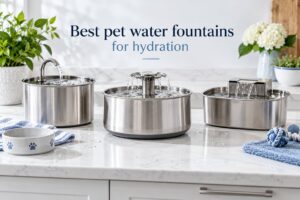 Best pet water fountains for hydration