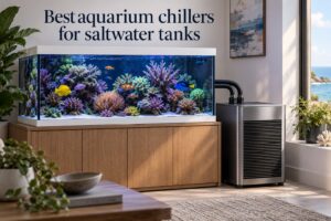 Best aquarium chillers for saltwater tanks