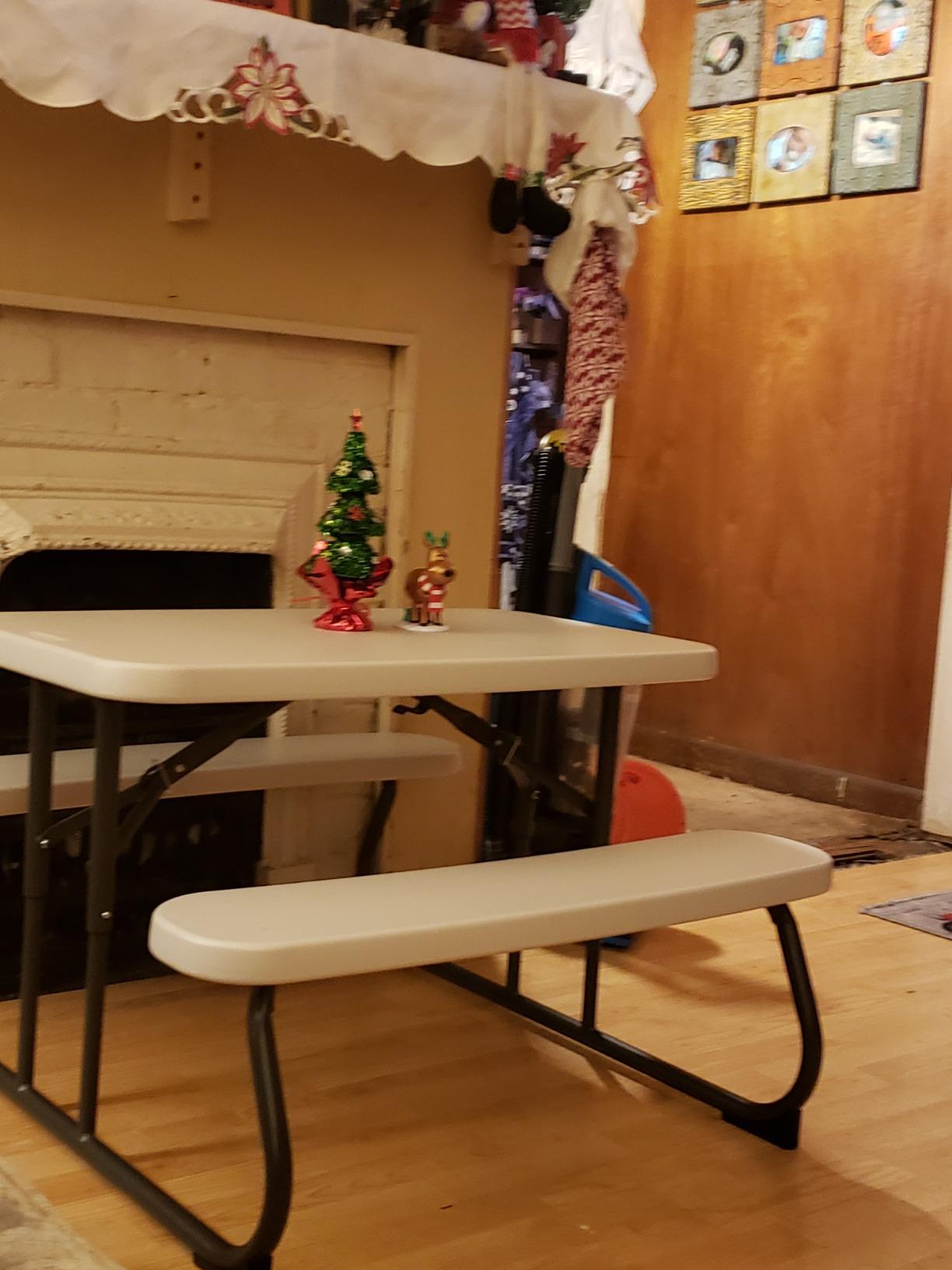 LIFETIME Kids Picnic Table, Foldable Outdoor Furniture customer photo 2