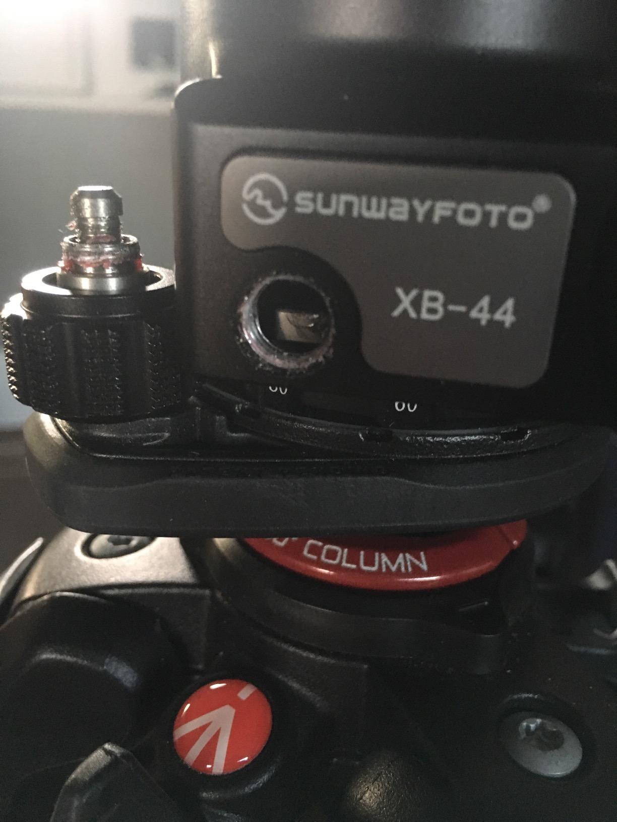 SUNWAYFOTO XB-44 Tripod Ball Head Arca Compatible Low COG 88lb Max Load XB44 Sunway customer photo 2