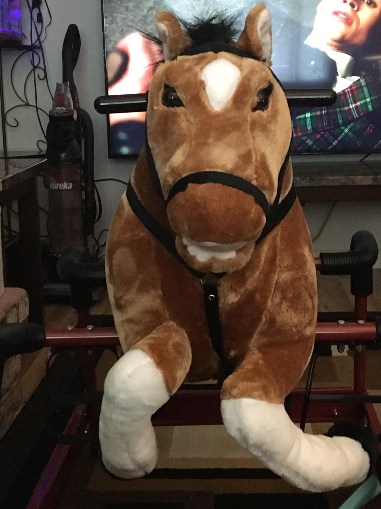 Qaba Spring Rocking Horse Durable Plush for Toddlers with Realistic Sounds customer photo 1