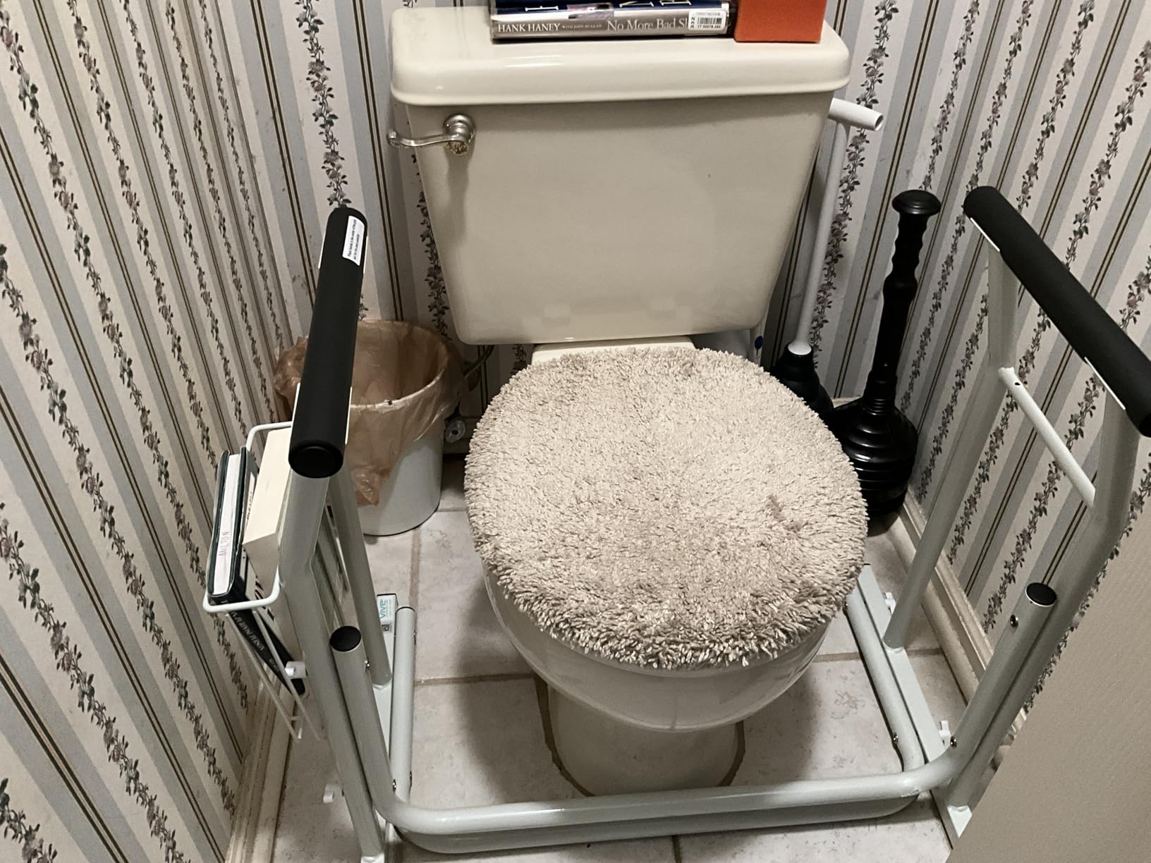 Vive Toilet Safety Rail with Arms - 300LBS Support Frame with Handles customer photo 1