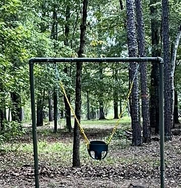 Deluxe High Back Full Bucket Toddler Swing with Pinch Protection, Green customer photo 2