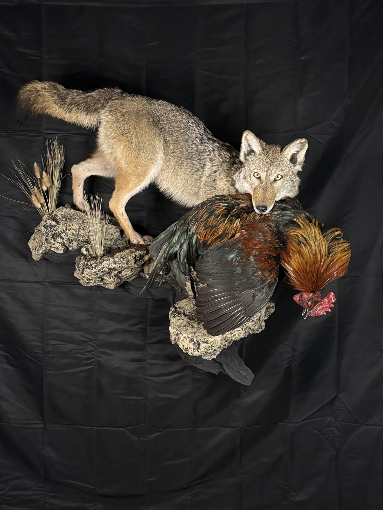 10 X 7 FT Green Screen Backdrop for Photography, Virtual GreenScreen customer photo 2