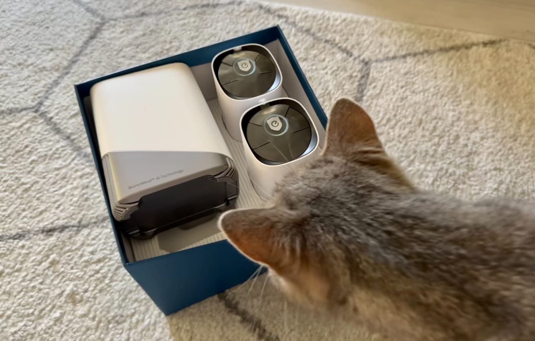 eufy Security eufyCam S330 (eufyCam 3), 4-Cam Kit, 4K Solar customer photo 2