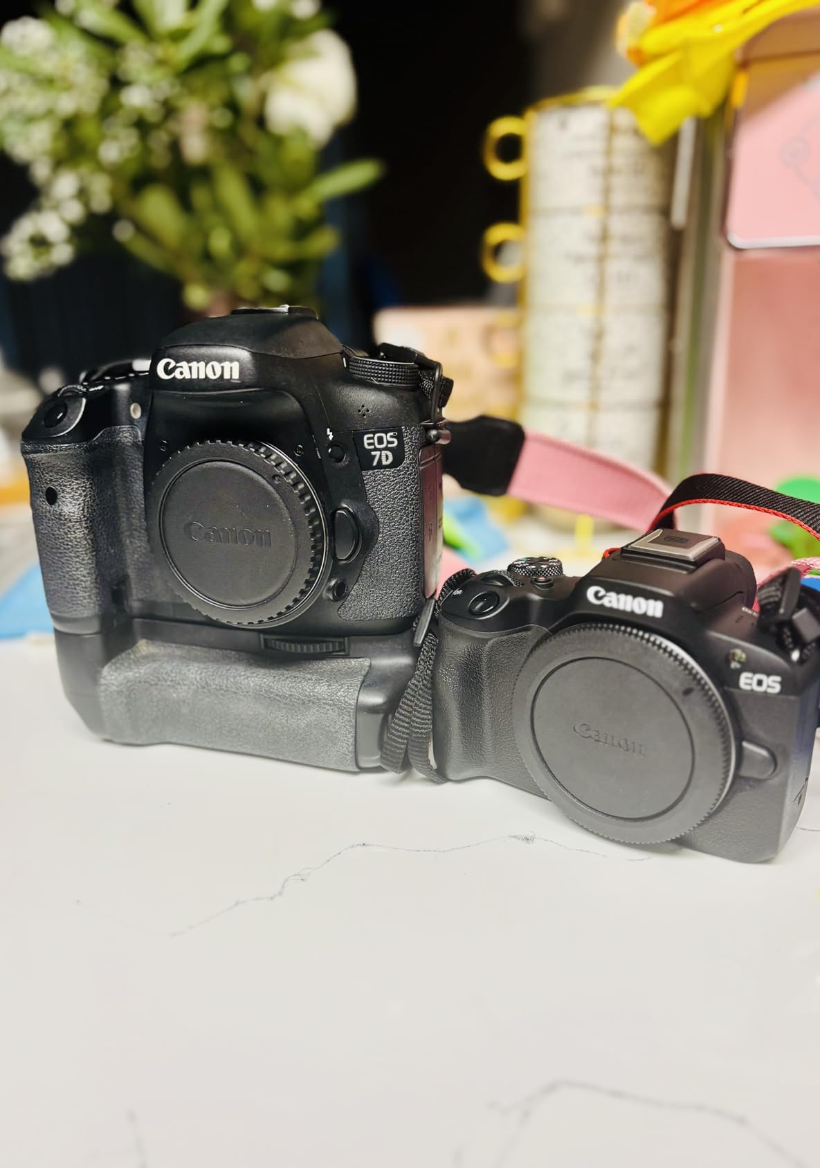Canon EOS R50 Mirrorless Camera (Body Only) customer photo 1