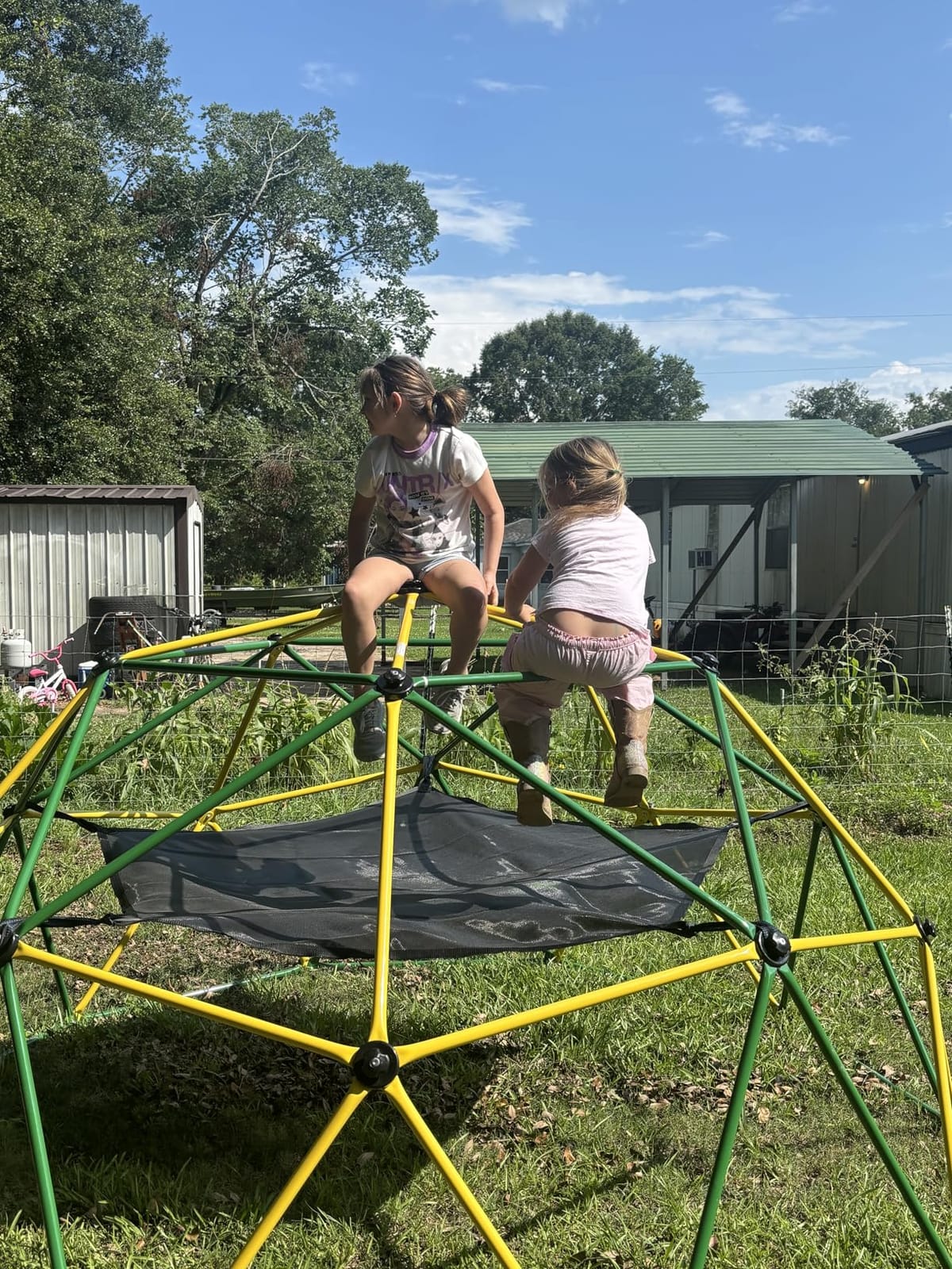 Climbing Dome with Hammock Swing Seat 10ft Outdoor Jungle Gym Kids Playset customer photo 1