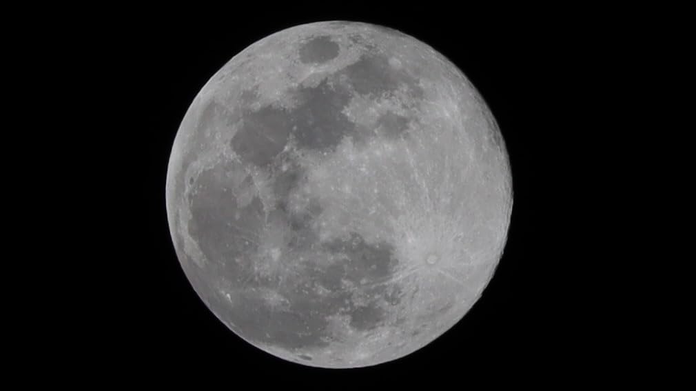 Canon RF-S55-210mm F5-7.1 is STM for Canon APS-C Mirrorless RF Mount Cameras (Renewed) customer photo 1
