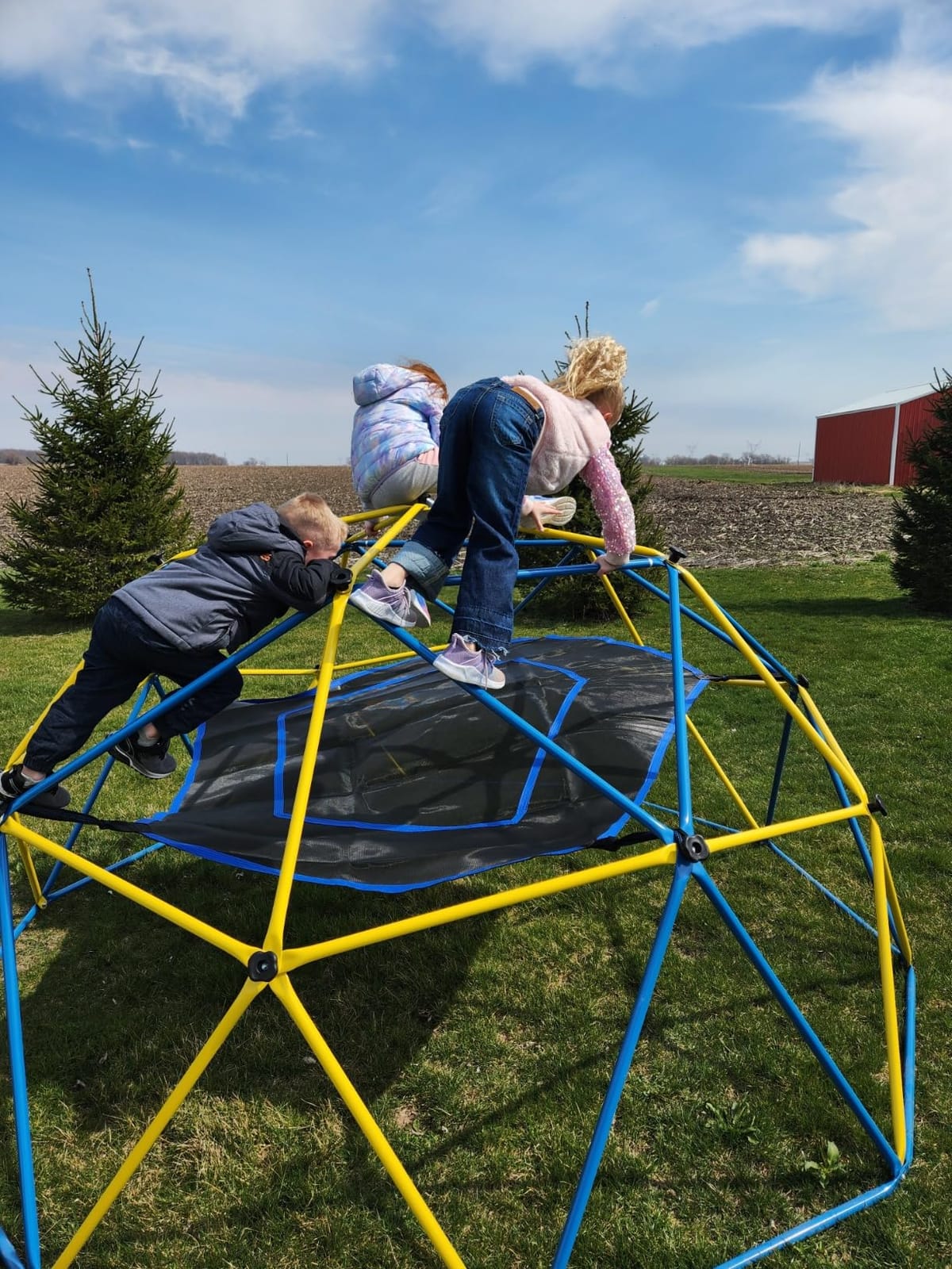 Hapfan 10 ft Climbing Dome with Hammock and Swing Seat customer photo 1