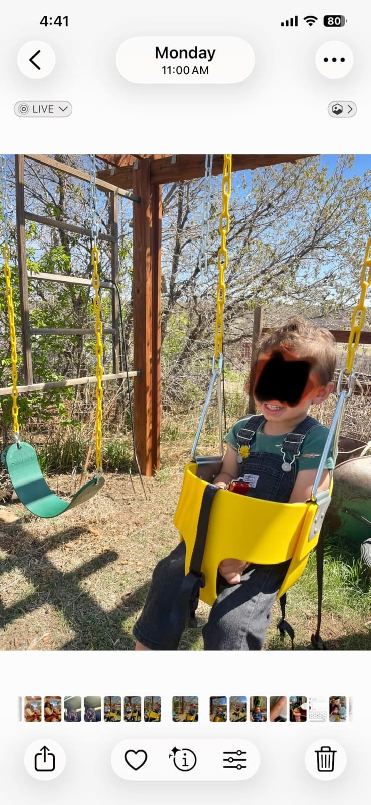 High Back Full Bucket Toddler Swing Seat with 3- Point Adjustable Safety Harness, 66 inch Detachable Chain,Suitable for Babies Aged 6-24 Months,Baby Swing for Swingset (Green) customer photo 1
